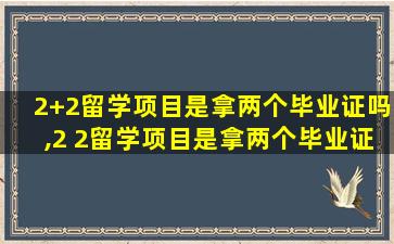 2+2留学项目是拿两个毕业证吗,2 2留学项目是拿两个毕业证吗